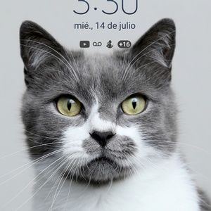 Meet your Posher, Omar